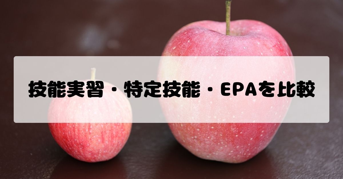 技能実習・特定技能・EPAを比較｜介護事業所の外国人材受入れ制度の選び方